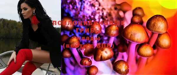 мяу мяу мука Белоозёрский