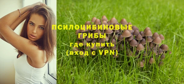 jwh Пролетарск